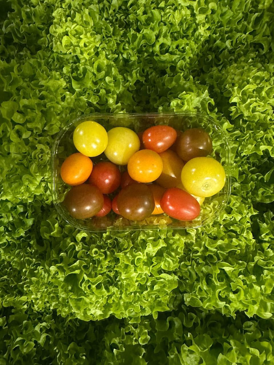 Cherry tomato mix